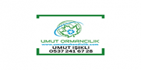 UMUT ORMANCILIK